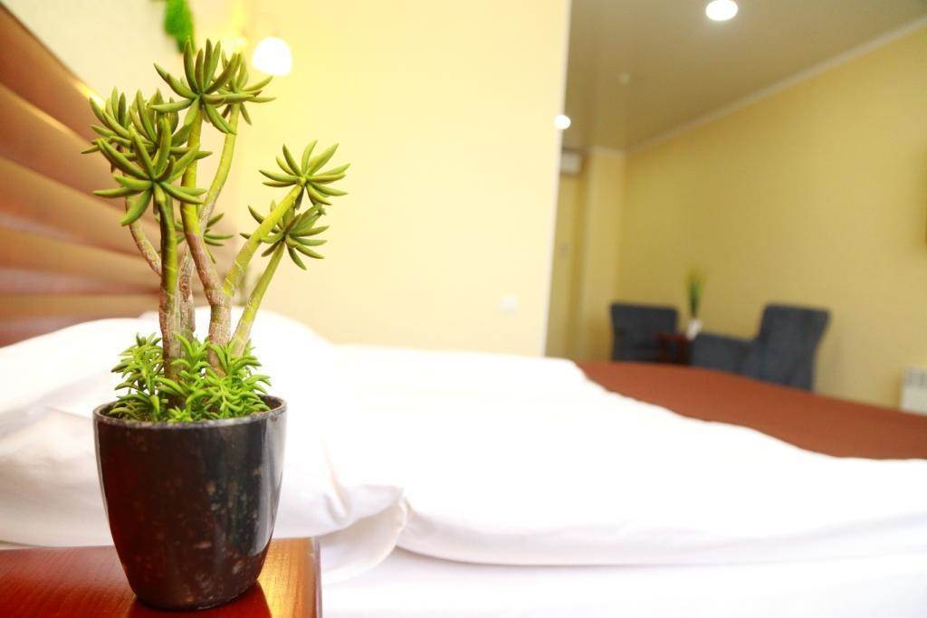 Green City Hotel Бишкек Екстериор снимка